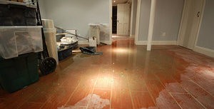 Water Damage and Mold In Finished Basement