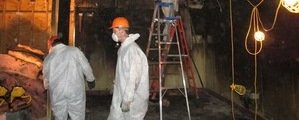 Water and Mold Damage Restoration Technician Working In Basement