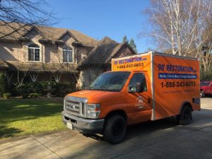 Water Damage and Mold Removal Bridgeport