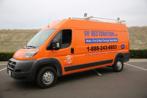 Water Damage and Mold Removal Central Square