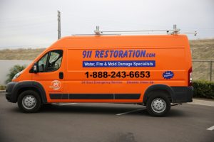 Water Damage and Mold Removal Auburn